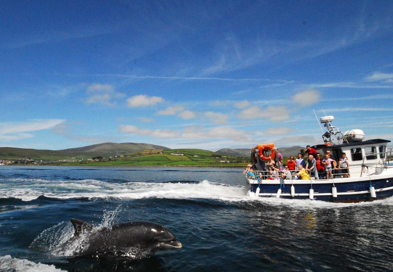 Dingle Harbour Cottages 3 Bed Sleeps 7 By Trident Holiday Homes Exterior photo